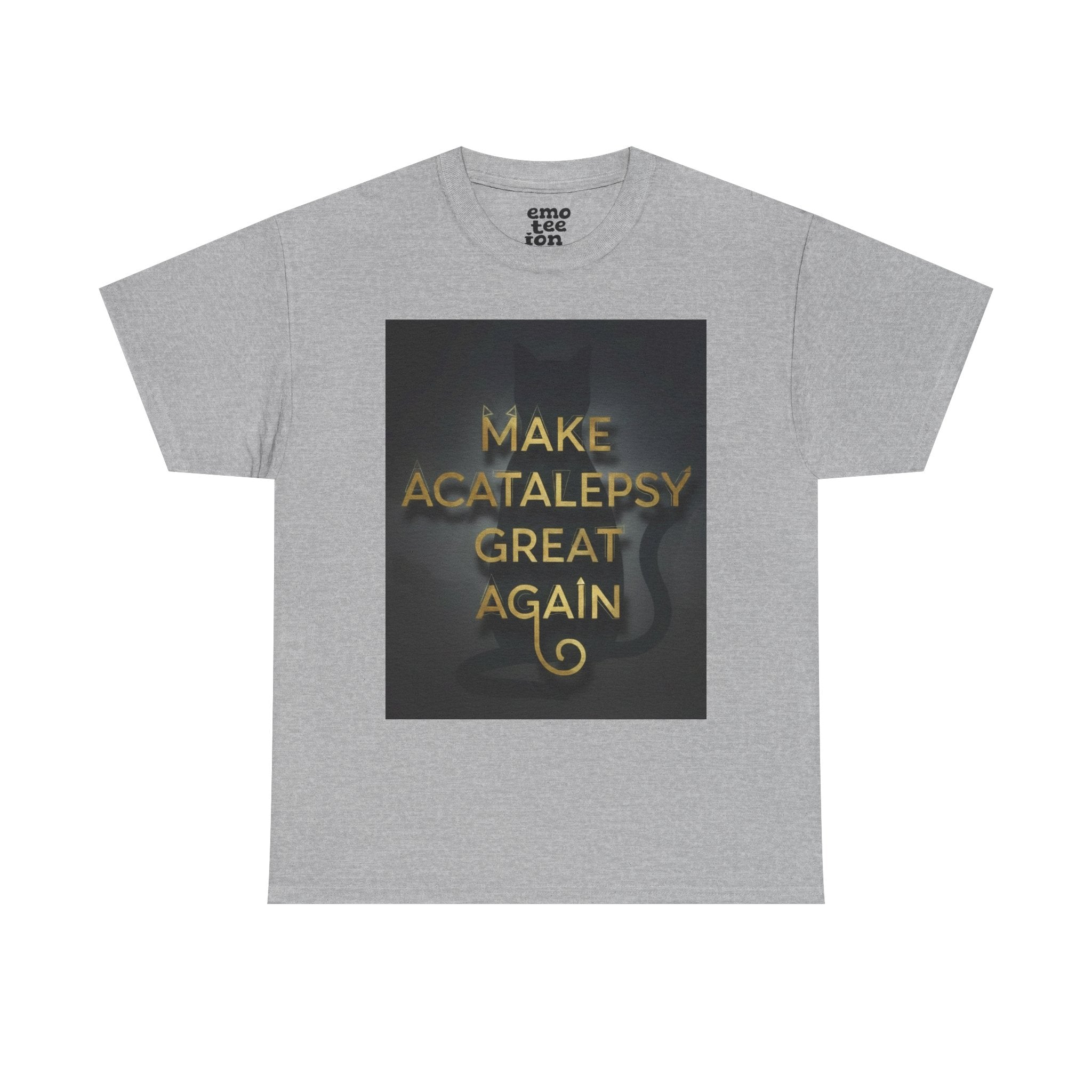 Make Acatalepsy Great Again