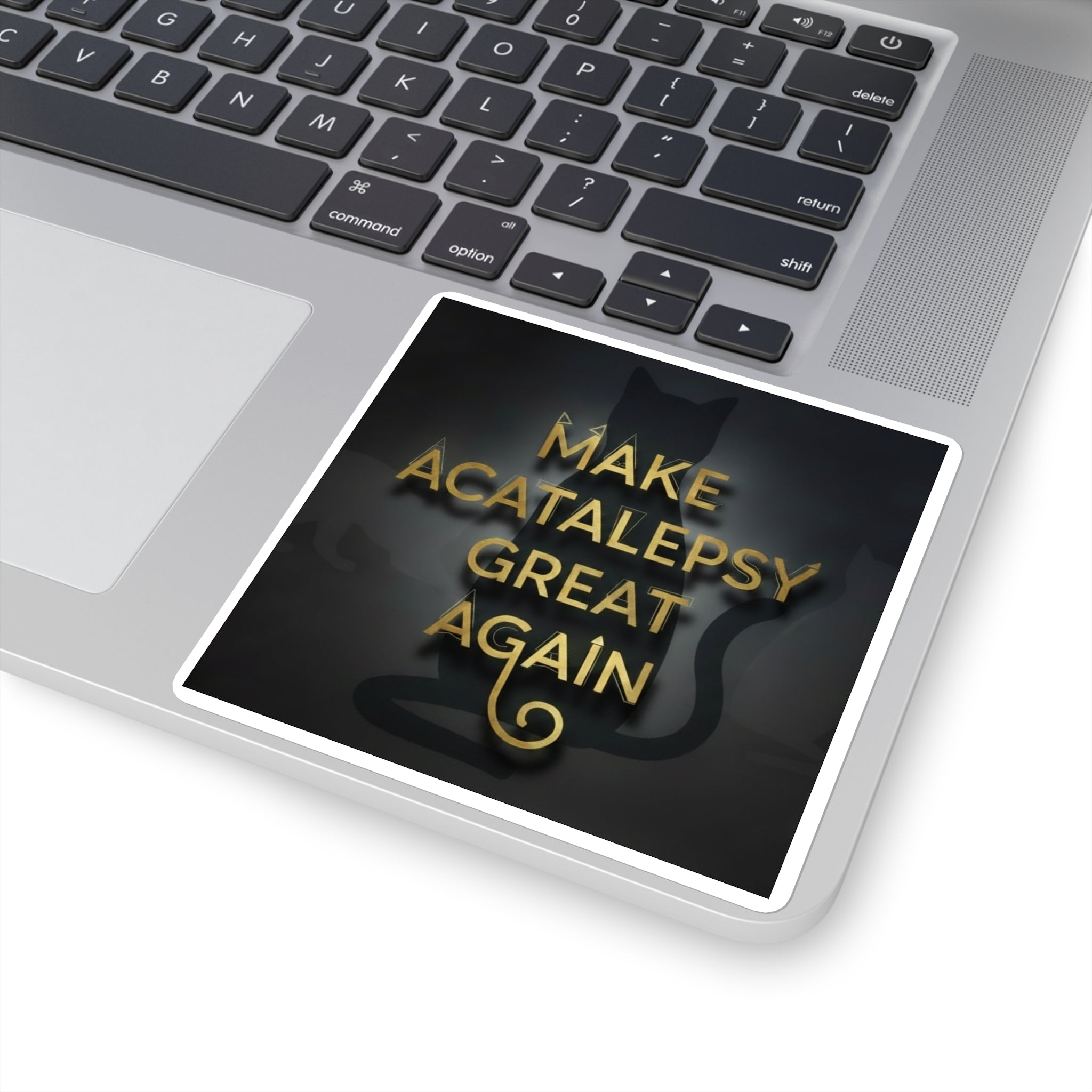 Make Acatalepsy Great Again - Dark Square Stickers