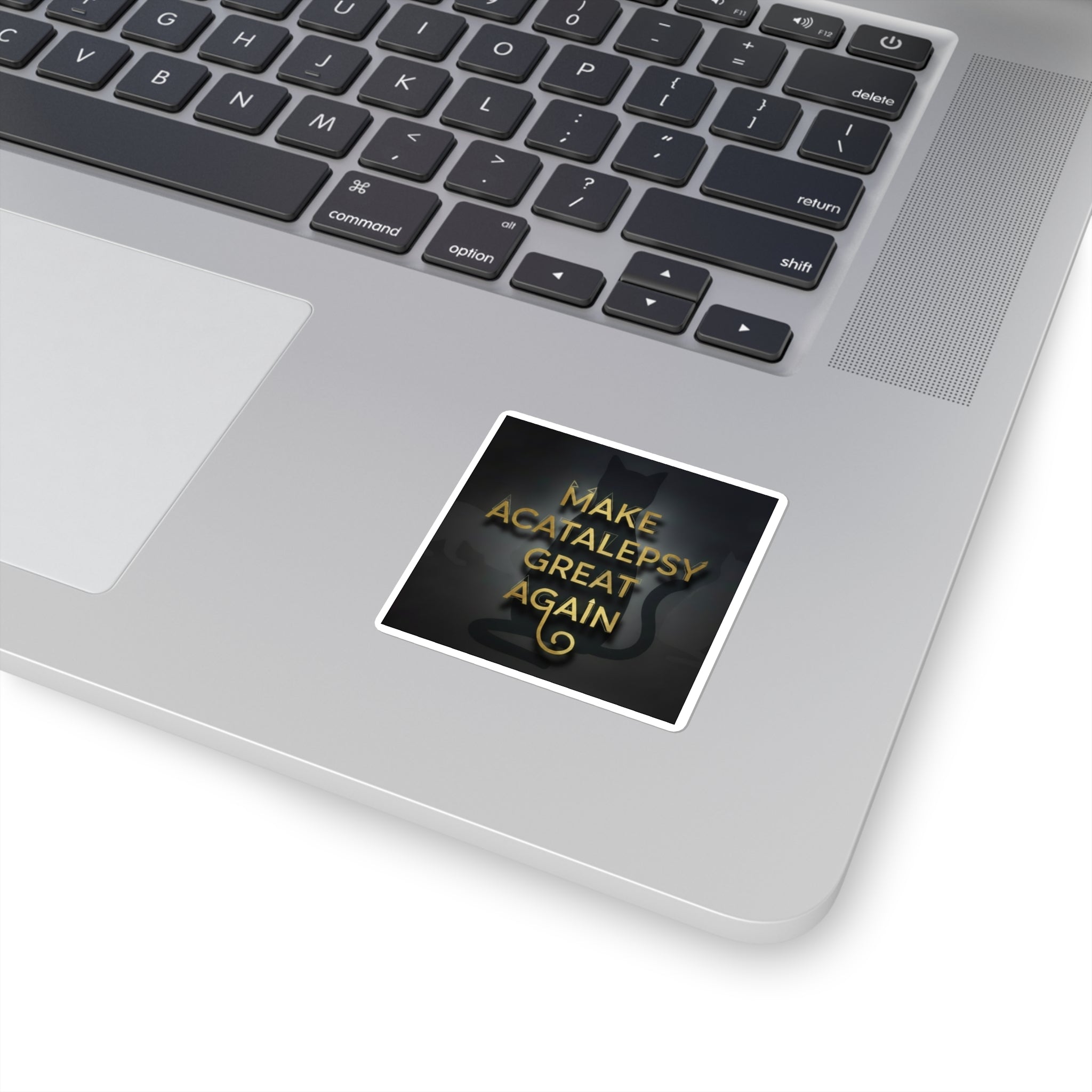 Make Acatalepsy Great Again - Dark Square Stickers