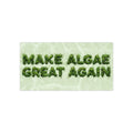 Make Algae Great Again - Bumper Stickers